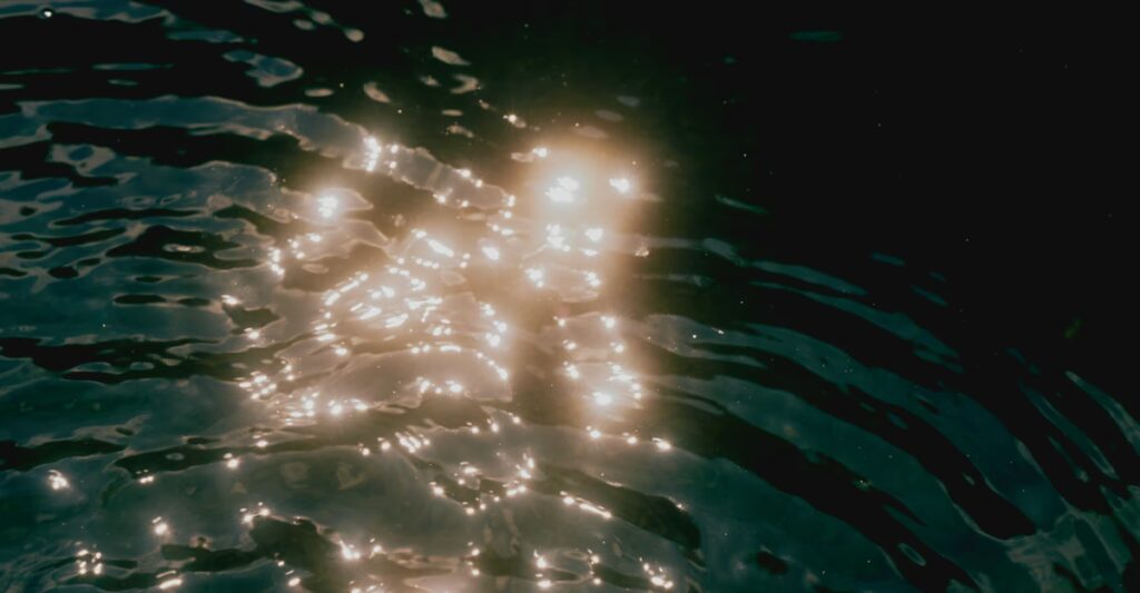 A Poem by Darrel Alejandro Holnes: ‘Mouth of the River, Tongue of No Country’