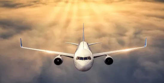 CBP Updates APIS Commercial Air Carrier Data Validation Requireme CBP Updates APIS Commercial Air Carrier Data Validation Requireme