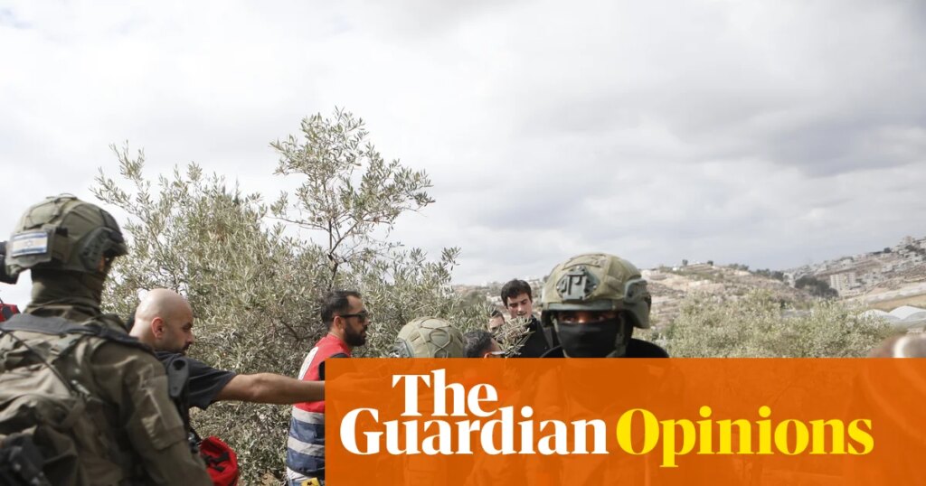 While the eyes of the world are on Gaza, Israeli settlers in the West Bank still behave with impunity | Ofer Cassif