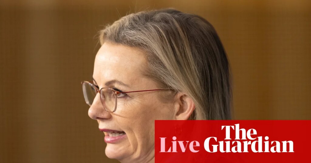 Australia news live: Ley dodges question on cost of net zero; NSW to introduce prison time for Nazi chants | Australia news