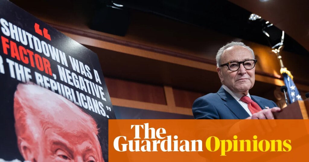 Chuck Schumer should quit – but would his imaginary friends agree? | Arwa Mahdawi Chuck Schumer should quit – but would his imaginary friends agree? | Arwa Mahdawi