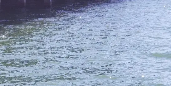 EPA, Army Corps Proposes Redefining CWA Jurisdiction Scope EPA, Army Corps Proposes Redefining CWA Jurisdiction Scope