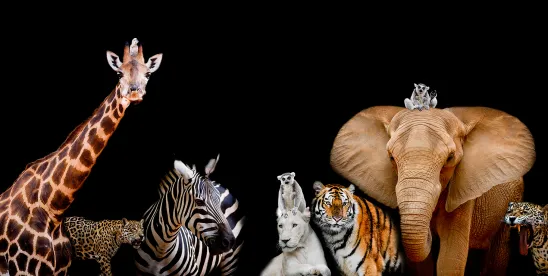 FWS Proposes Revisions to Revert Endangered Species Act Practices FWS Proposes Revisions to Revert Endangered Species Act Practices