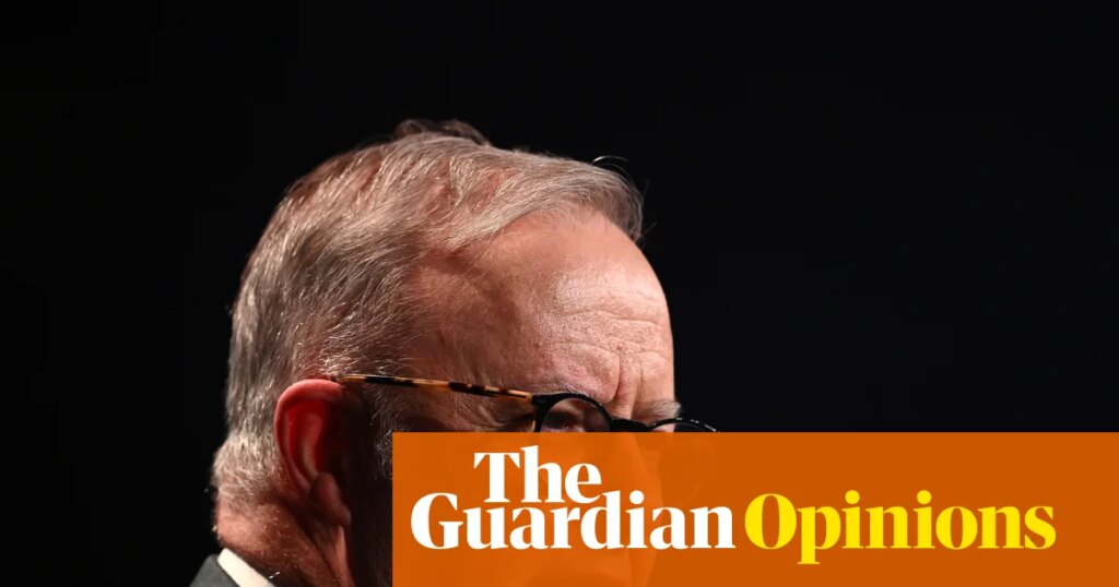 Labor must not partner with climate vandals on Australia’s new environmental laws | Tim Flannery