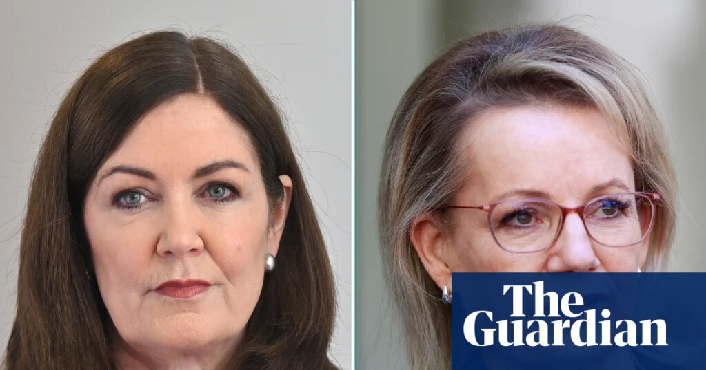 Liberal MPs insist Sussan Ley’s position safe for now despite senator claiming leader is ‘losing support’ | Sussan Ley Liberal MPs insist Sussan Ley’s position safe for now despite senator claiming leader is ‘losing support’ | Sussan Ley