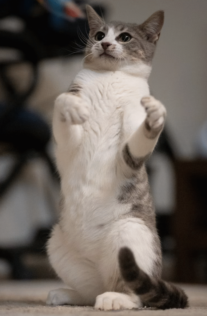 Links 11/1/2025 | naked capitalism Links 11/1/2025 | naked capitalism