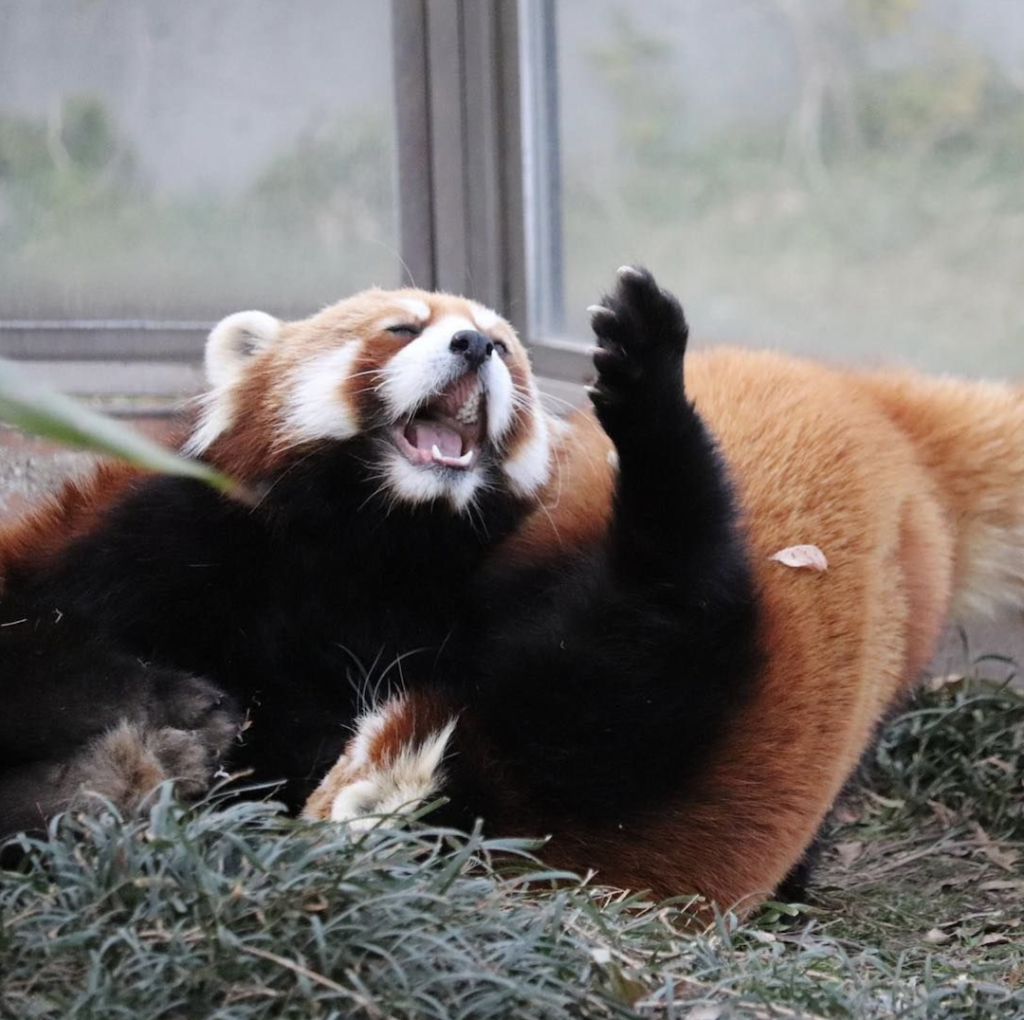 Links 11/7/2025 | naked capitalism Links 11/7/2025 | naked capitalism