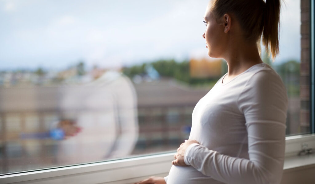 November’s Elections Will Decide the Fate of Virginia’s Abortion Amendment