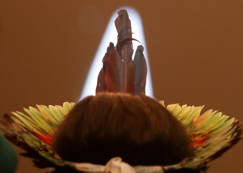 Turning Indigenous Territories From ‘Sacrifice’ Zones to Thriving Forest Ecosystems — Global Issues Turning Indigenous Territories From ‘Sacrifice’ Zones to Thriving Forest Ecosystems — Global Issues