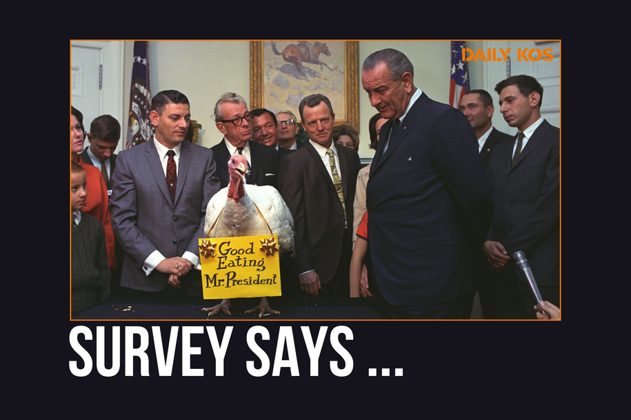 Why the flock do presidents pardon turkeys? Why the flock do presidents pardon turkeys?